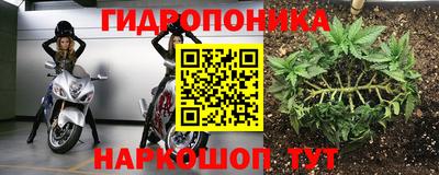 jwh Лесосибирск