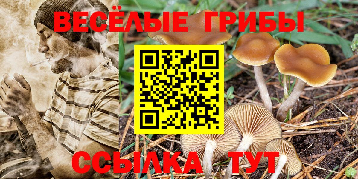 Галлюциногенные грибы ЛСД  Вход с VPN  Псилоцибиновые грибы Psilocybine cubensis  Черногорск 